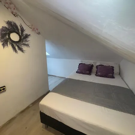 Πανσιόν Arolen 3*